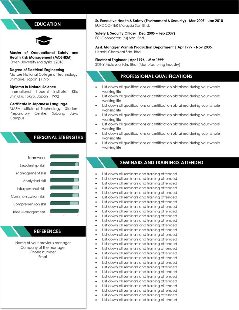 Template Resume Murah : KR11 3 PAGES - GREEN