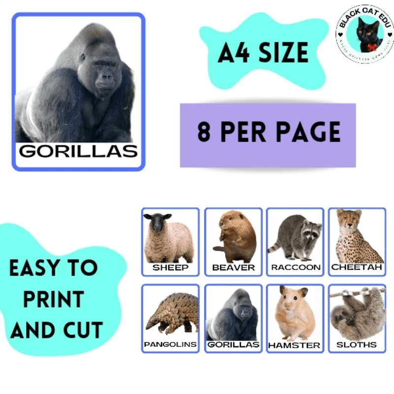 PDF 64 Flashcards Mammals Animals Flashcards Preschool Children Educational Montessori Kad Bergambar Toddler Digital